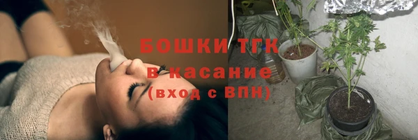 хмурый Нея