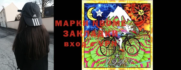 хмурый Нея