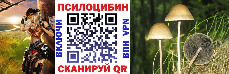 Псилоцибиновые грибы Psilocybine cubensis  Приволжск 